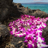 Celebrating Hawaiian Culture: Lei Day and the Beauty of the Hawaiian Lei - Shaka Time Hawaii