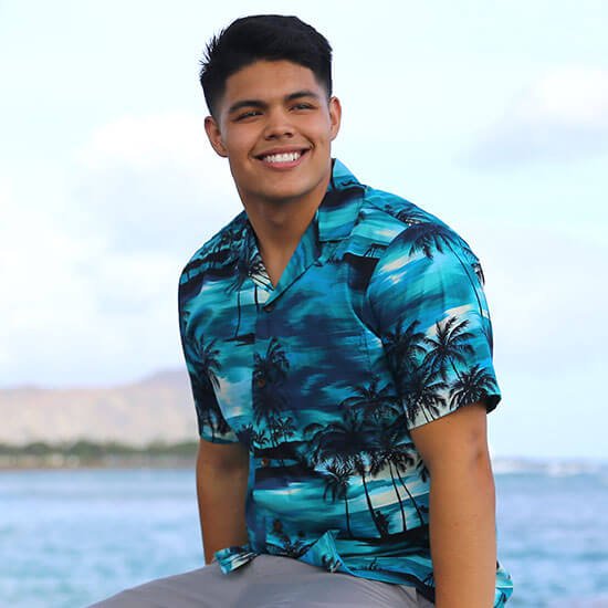 Shirts Men's Hawaiian Cotton Business Autumn Shirt Jade Fashion