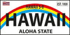 Beach Towel 1959 Hawaii Aloha State License Plate White