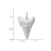 Sterling Silver Brushed and Polished Great White Shark Tooth Pendant