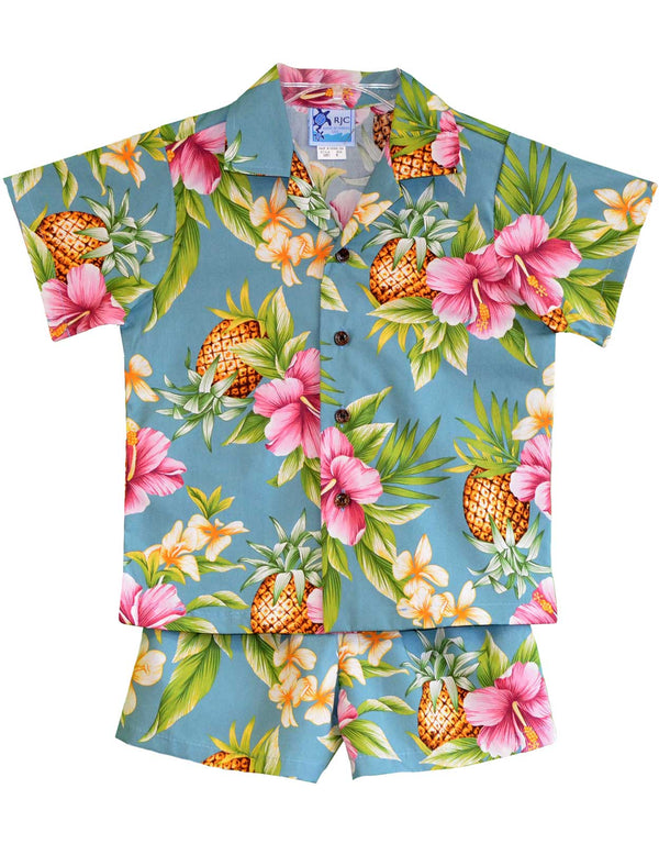 Toddler Boy's 2 Piece Cabana Set Hibiscus Pineapples Valley Slate