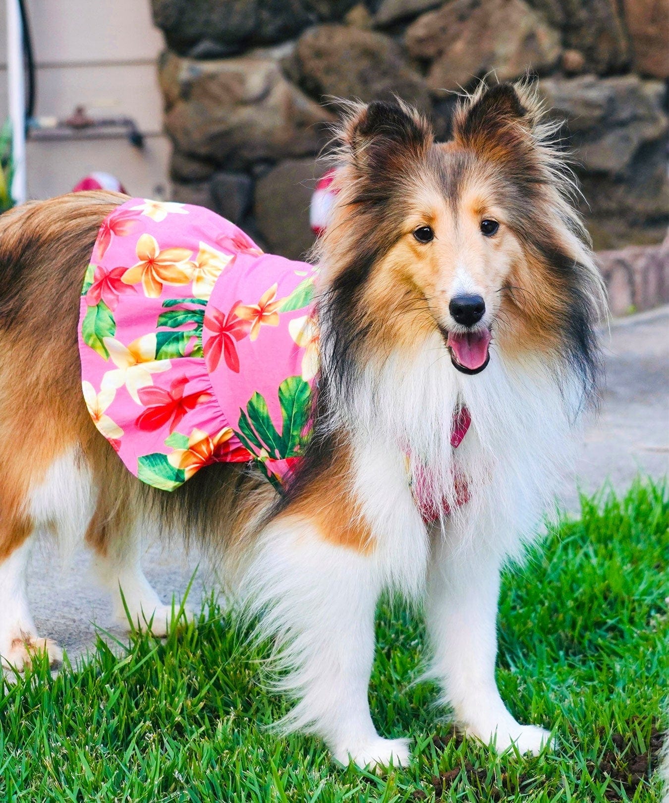 dog dresses Dog Sundress Little Hula Girl Pink / XS