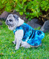 Dog Hawaiian Sundress Island Sunset Paradise Turquoise