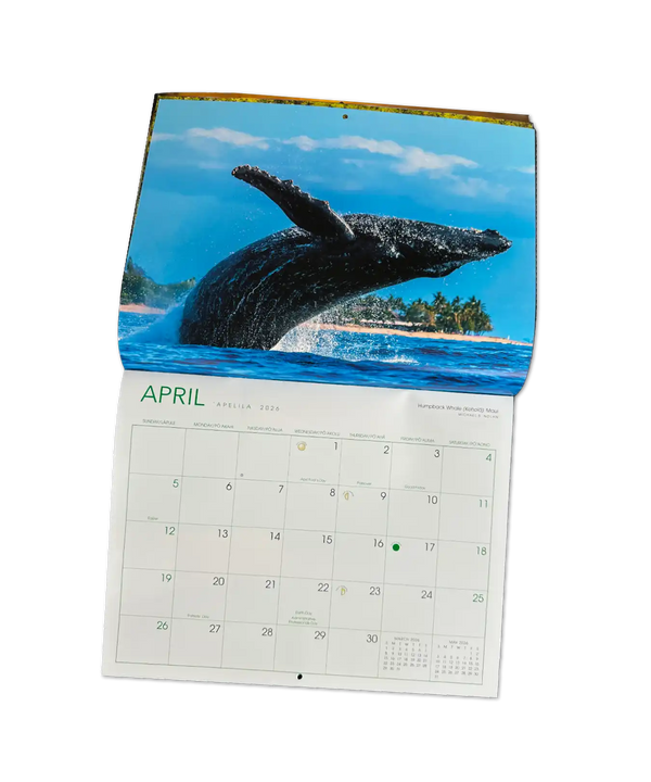 Hawaii Calendar 2026 50th STATE