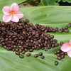 10 Interesting Facts about Kona Coffee - Shaka Time Hawaii