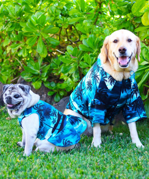 Dog Hawaiian Sundress Island Sunset Paradise