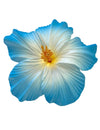 Large Hibiscus Flower Hair Clip White Blue