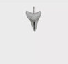 Sterling Silver Brushed and Polished Great White Shark Tooth Pendant