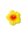 Small Hibiscus Yellow Flower Hair Clip Yellow